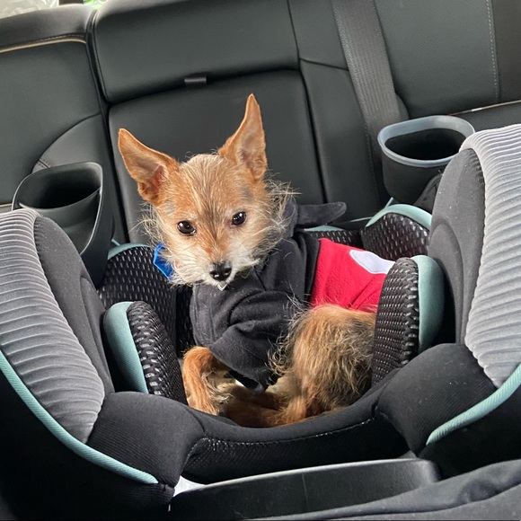 Introvert who likes to shop too much! - Picture 1 of 5